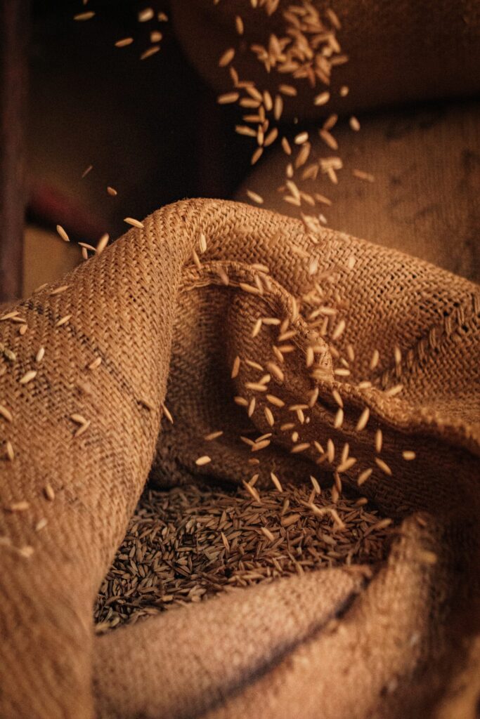 Hello World Featured Image